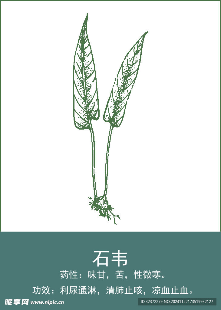 中药手绘插画