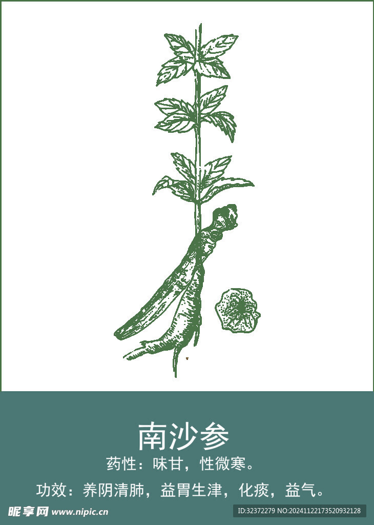 中药手绘插画