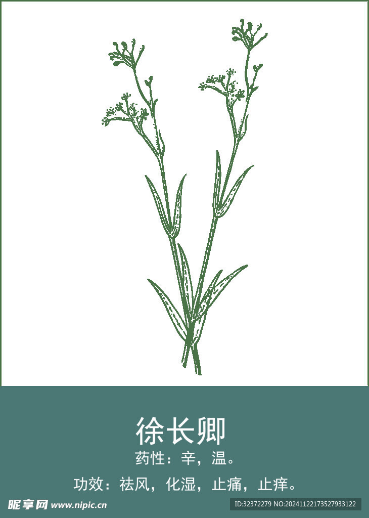 中药手绘插画