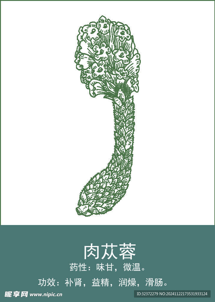 中药手绘插画
