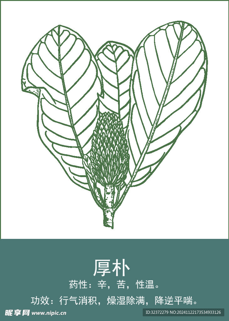 中药手绘插画