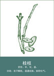 中药手绘插画