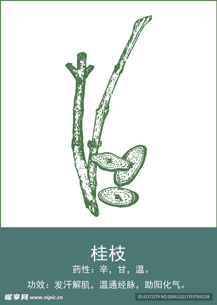 中药手绘插画