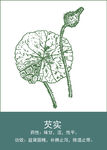中药手绘插画