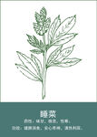 中药手绘插画