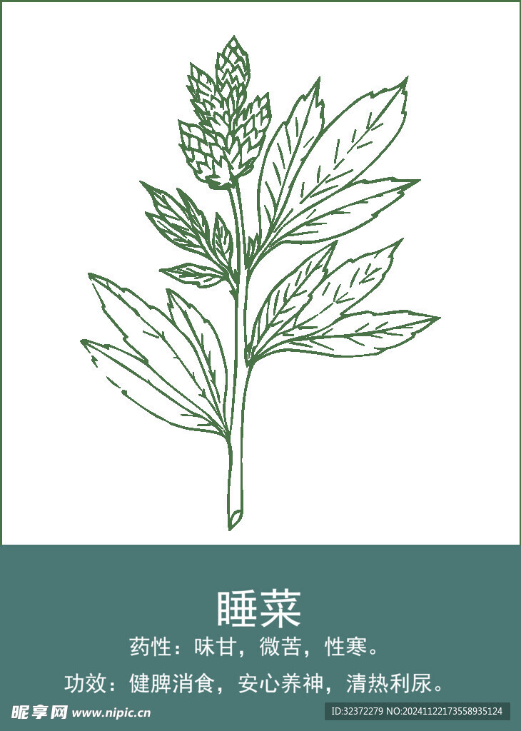 中药手绘插画