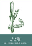 中药手绘插画
