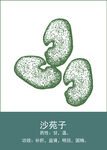 中药手绘插画