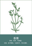中药手绘插画