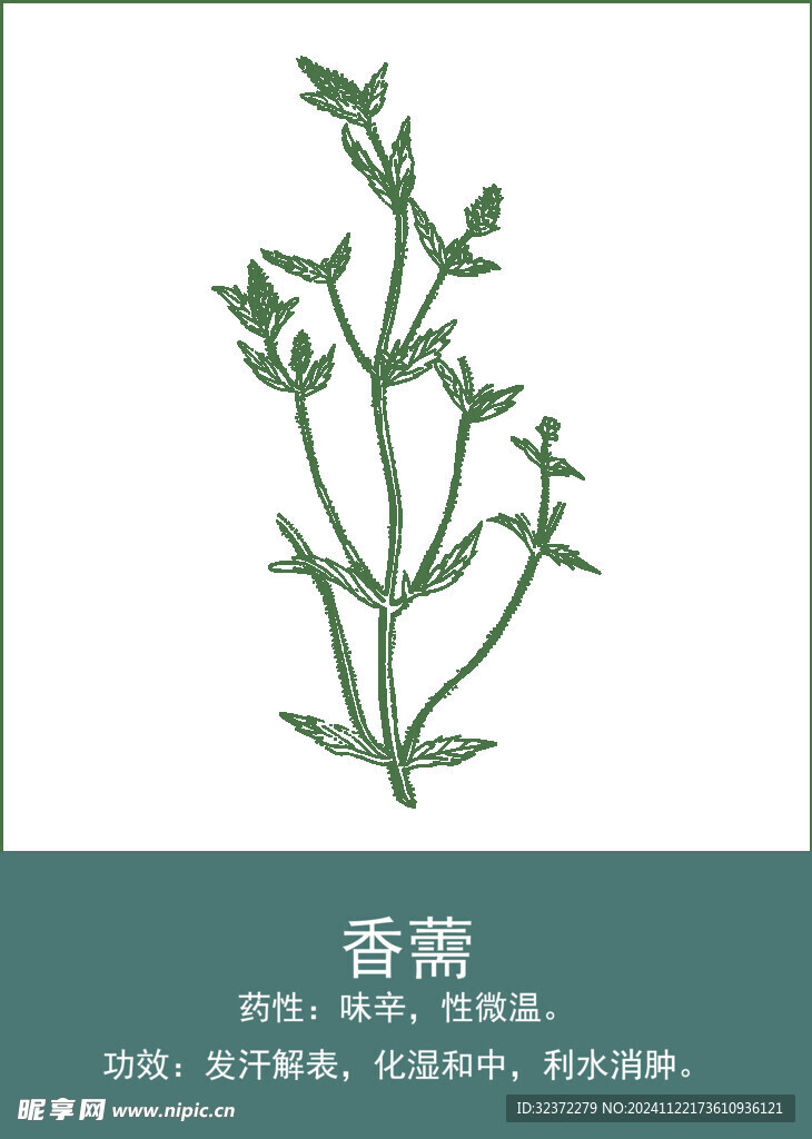 中药手绘插画