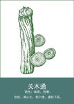 中药手绘插画