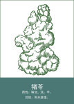中药手绘插画
