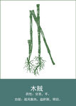 中药手绘插画