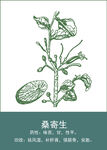 中药手绘插画