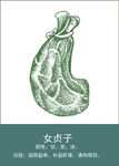中药手绘插画