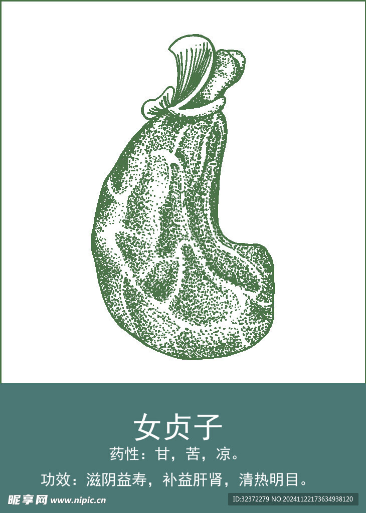 中药手绘插画