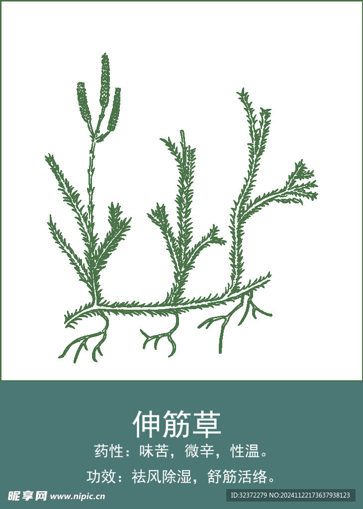 中药手绘插画