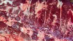 牛肉
