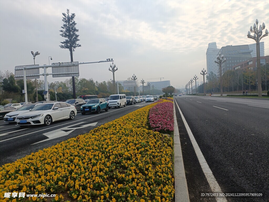 城市道路