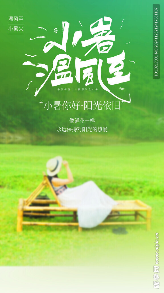 二十四节气小暑海报