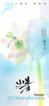 二十四节气小暑海报