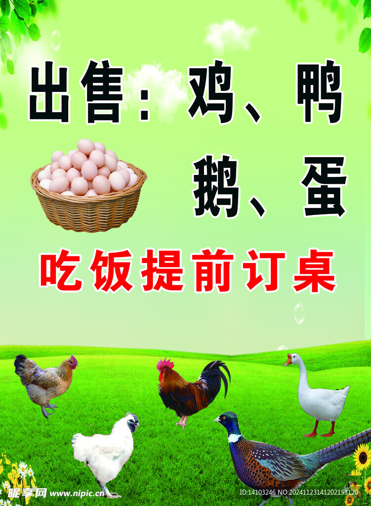 出售鸡鸭