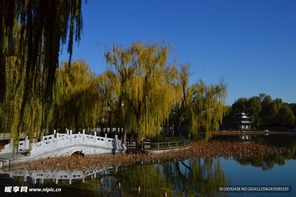 公园风景 