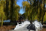 公园风景  