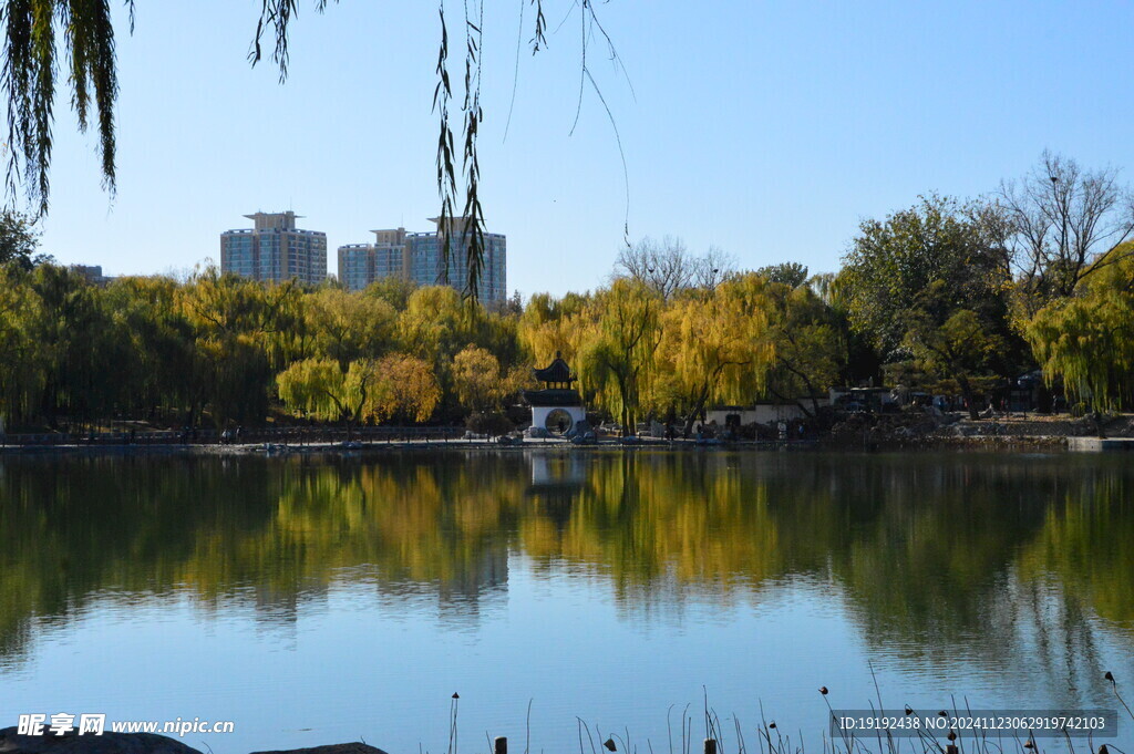 公园风景  