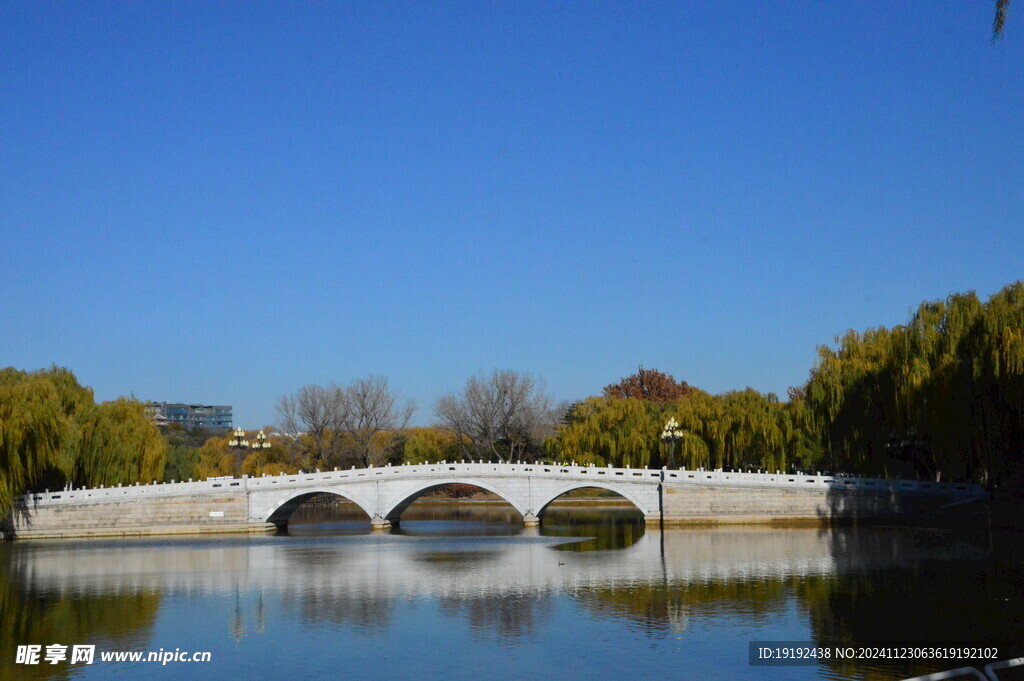 公园风景  