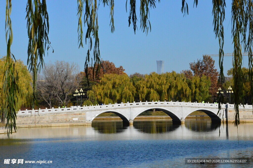 公园风景 