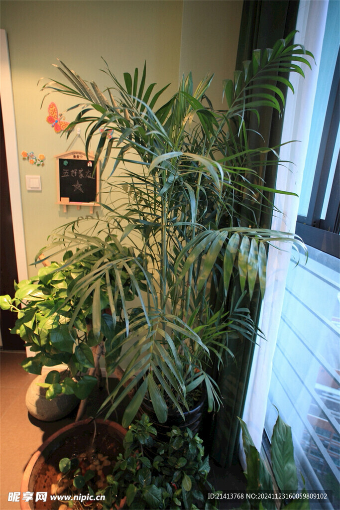 家居绿植摆件