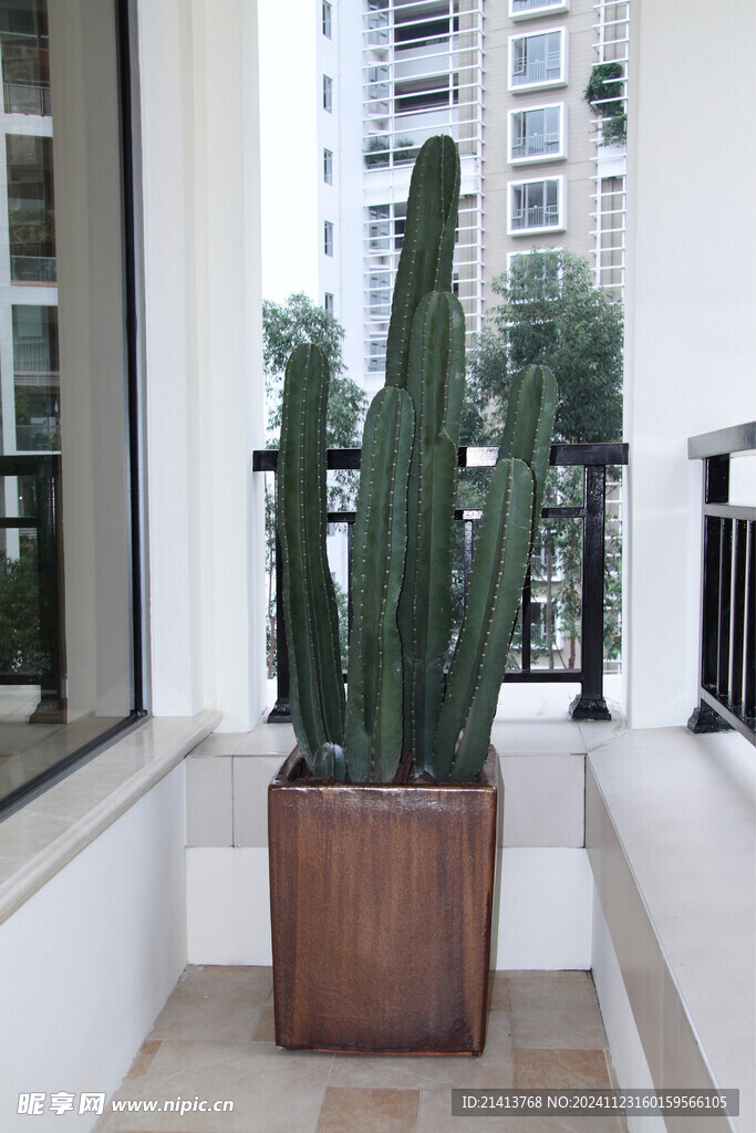 家居绿植摆件