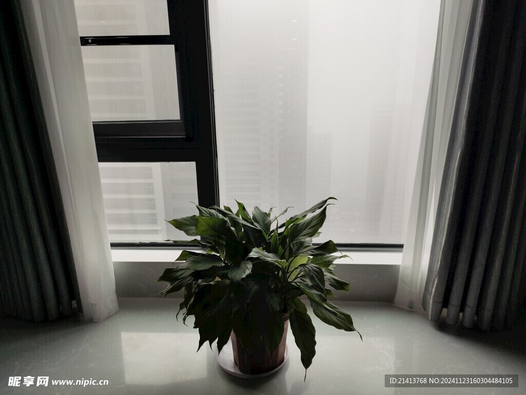 家居绿植摆件