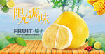 柚子