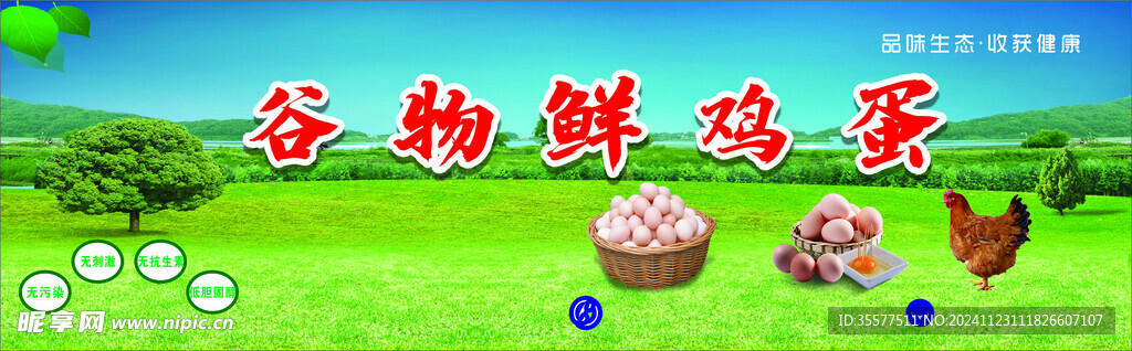 鲜鸡蛋