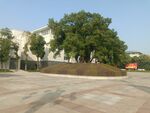 学校建筑