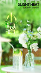 二十四节气小暑海报
