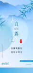 二十四节气白露海报