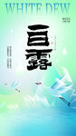 二十四节气白露海报