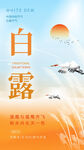 二十四节气白露海报