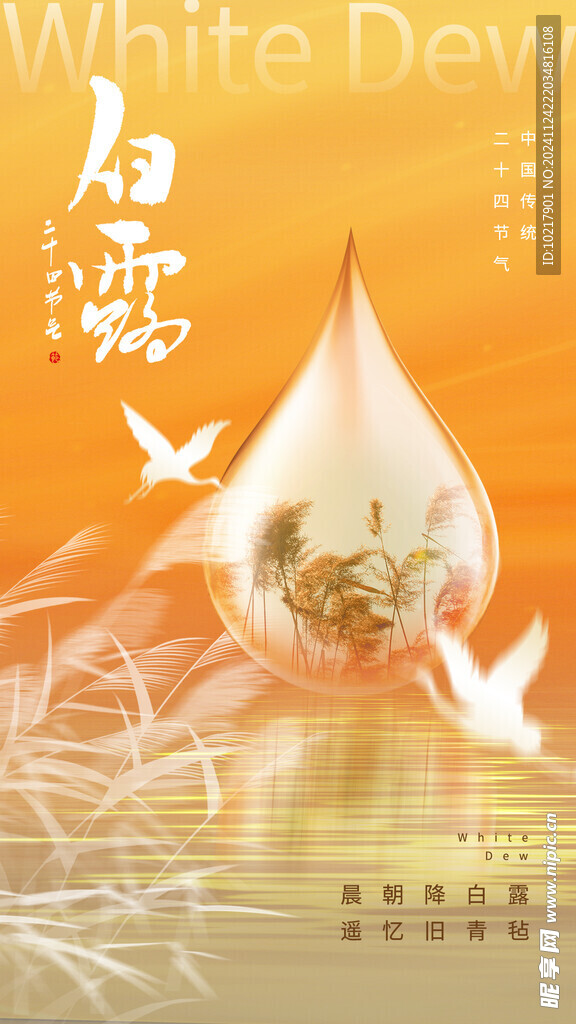 二十四节气白露海报