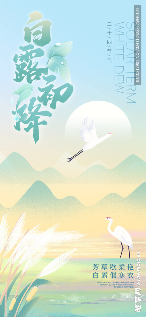 二十四节气白露海报