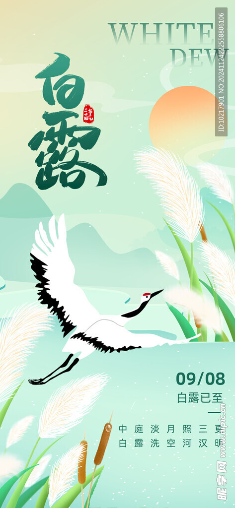 二十四节气白露海报