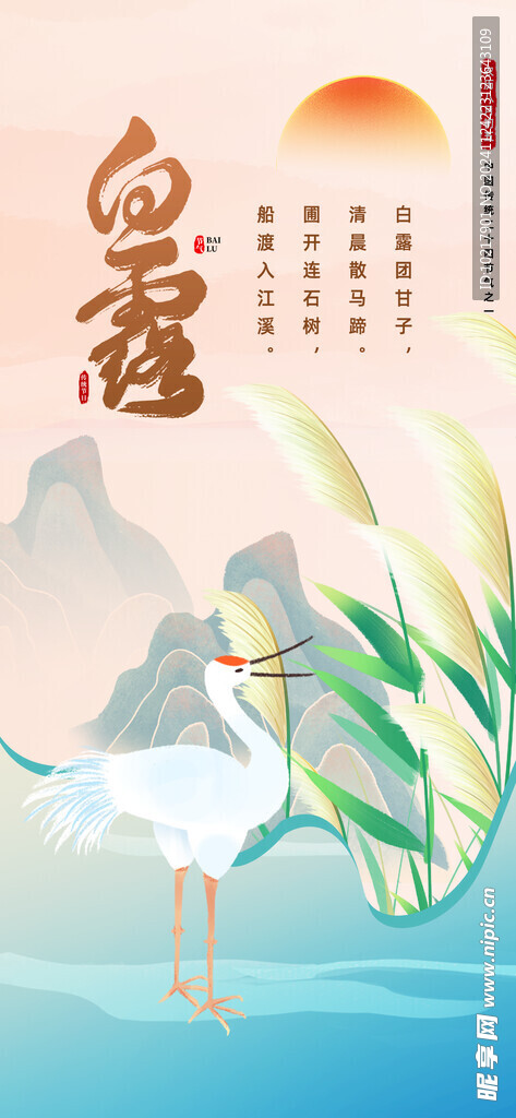 二十四节气白露海报
