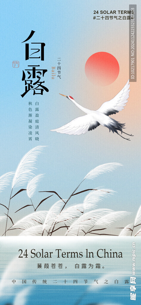 二十四节气白露海报