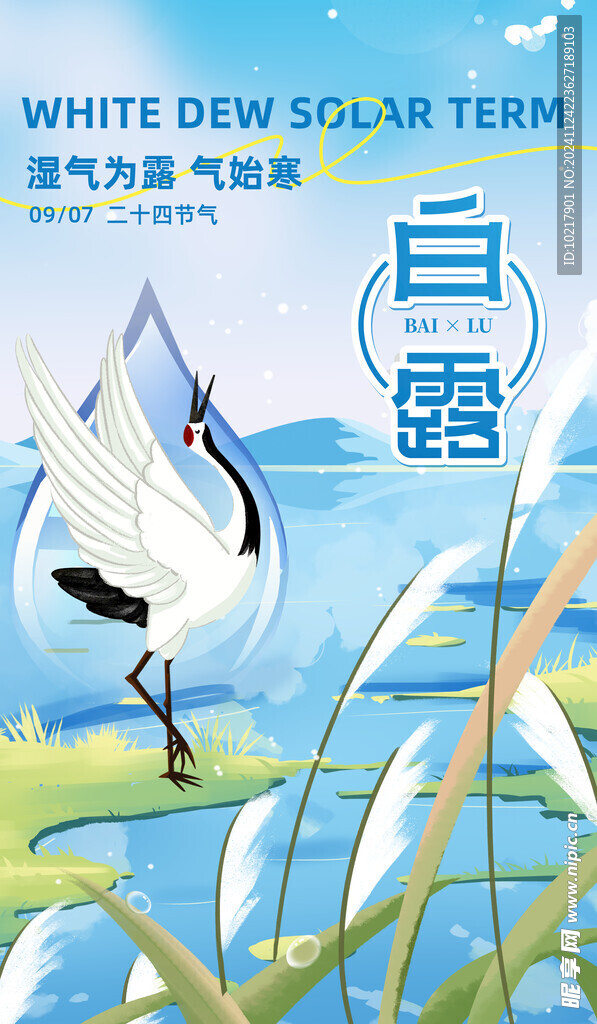 二十四节气白露海报