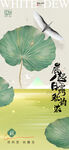 二十四节气白露海报