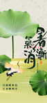 二十四节气白露海报