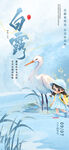 二十四节气白露海报